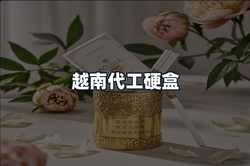 越南代工硬盒